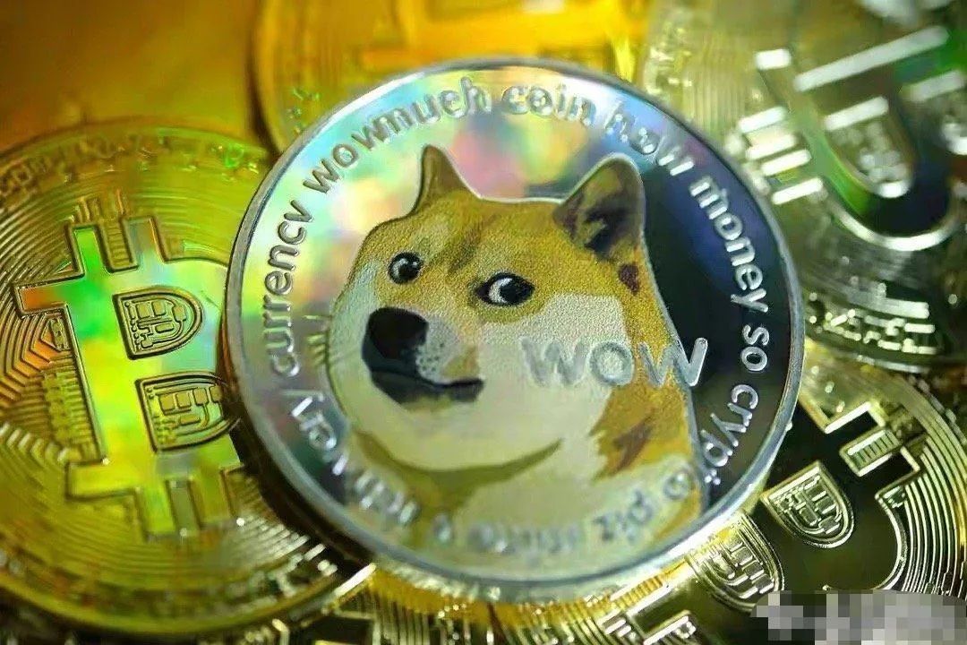 狗狗币今日价格行情_狗狗币最新价格行情_狗狗币