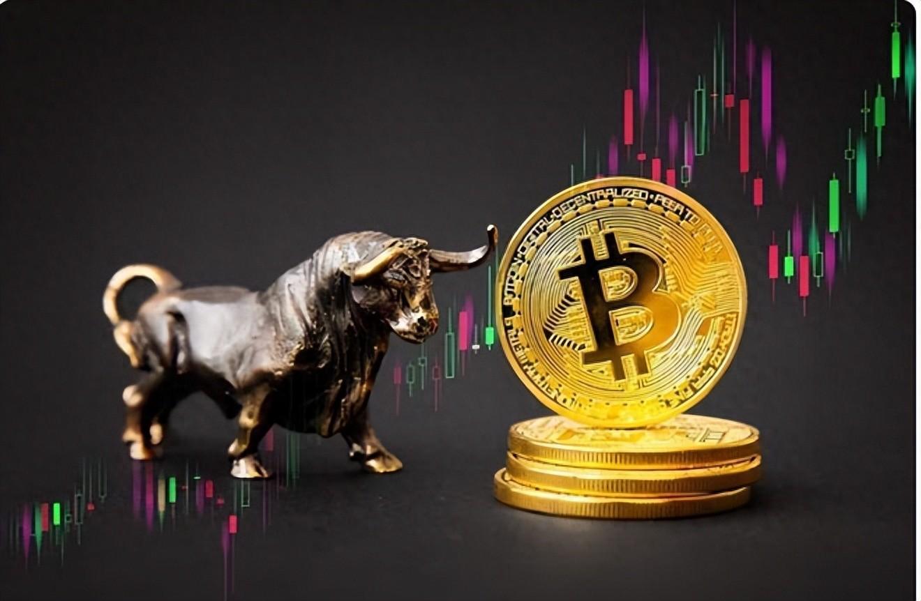 btc属于什么币种_btc什么东西_btc