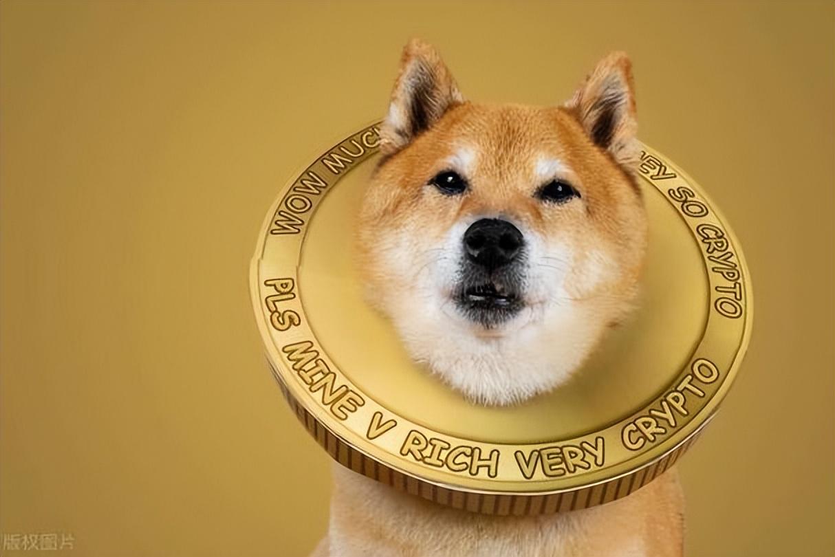 柴犬币_柴犬币_柴犬币