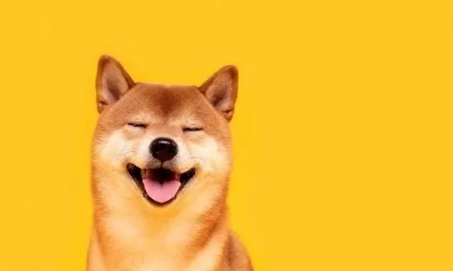 以太坊钱包_以太坊钱包有什么用处_以太坊纸钱包