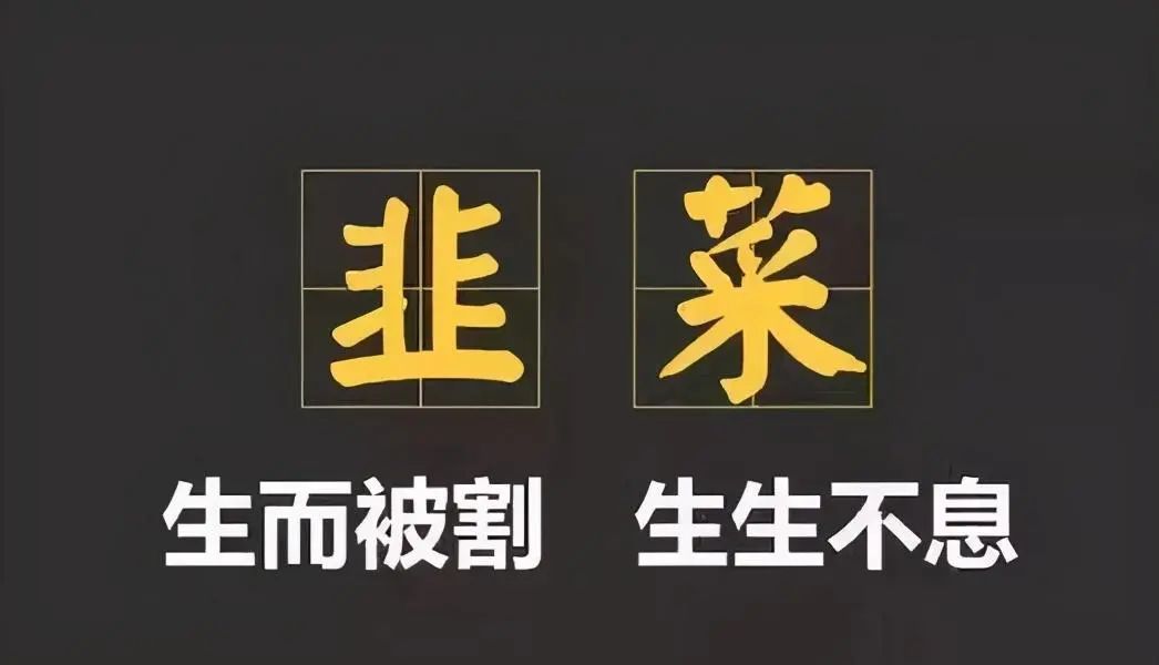 btc生态板块的代币_btc_btc官网