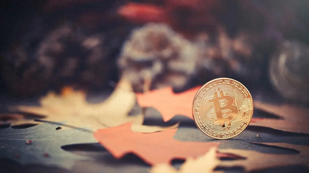 比特币钱包_钱包比特币截图_钱包比特币被盗