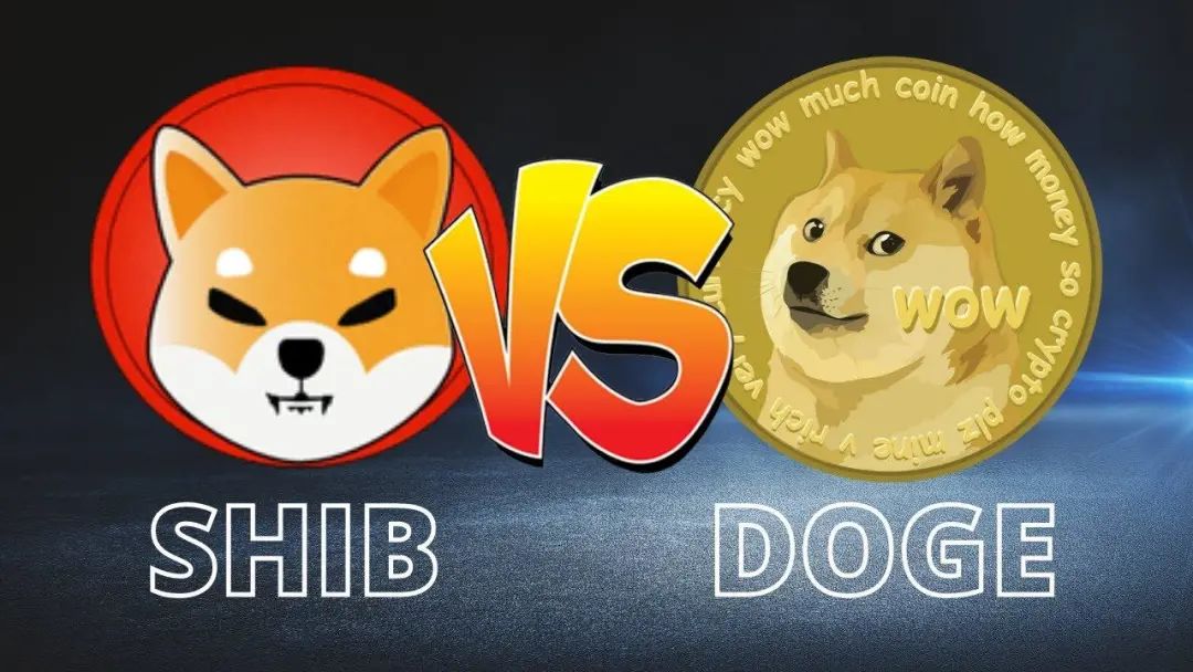 柴犬币_柴犬币_柴犬币