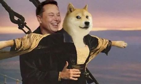 柴犬币_柴犬币_柴犬币